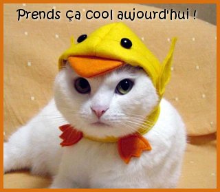 BOU    TA  HU PEUR   UN